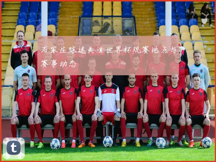 石家庄球迷关注世界杯观赛地点与赛事动态