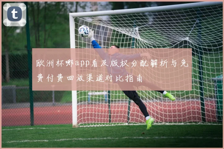 欧洲杯哪app看及版权分配解析与免费付费回放渠道对比指南
