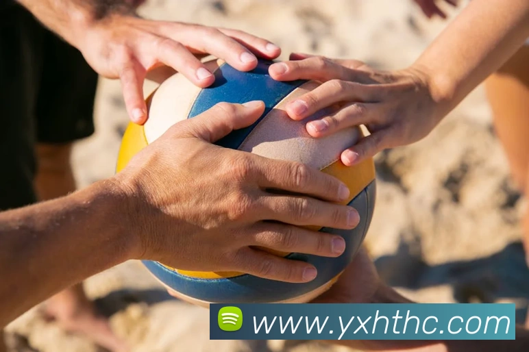 App Interface Preview