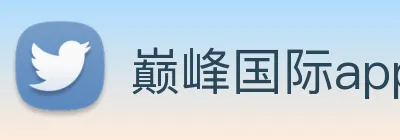 巅峰国际app官网下载 logo
